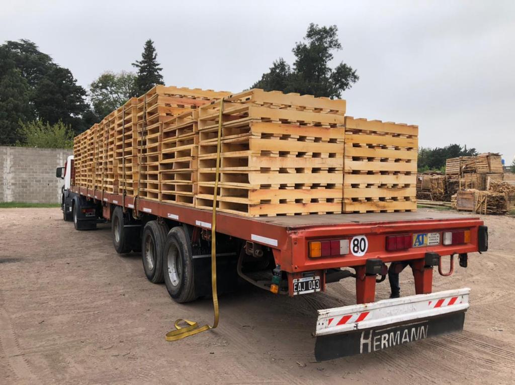 Fabrica de pallet - Maderera AT (pallet arlog / euro pallet)